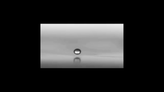 e60ee471-6017-49ee-be0d-1b0d64305707.gif